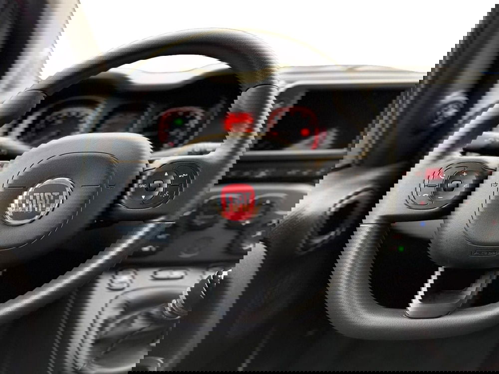 Fiat Panda Cross usata a Salerno (8)