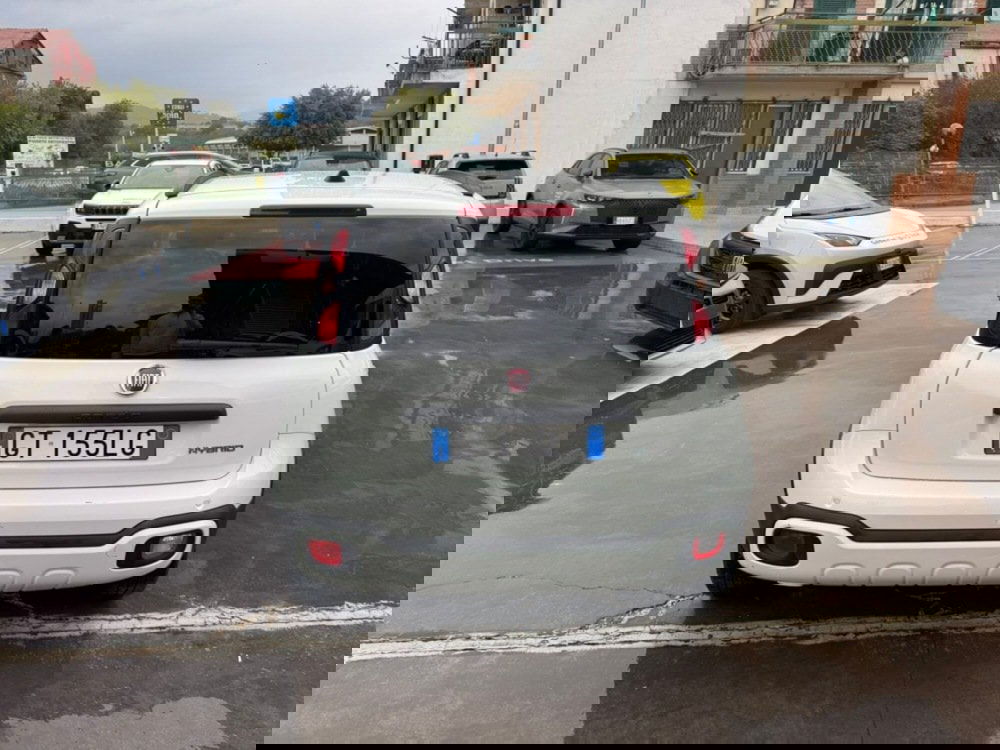 Fiat Panda Cross usata a Avellino (11)