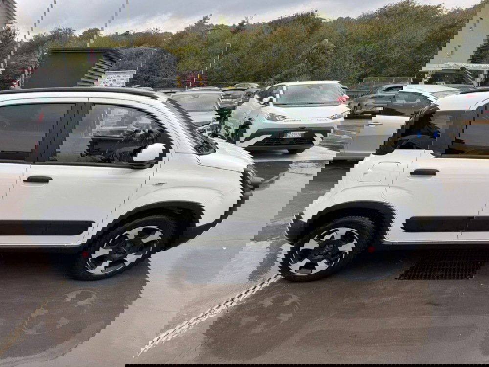 Fiat Panda Cross usata a Avellino (15)