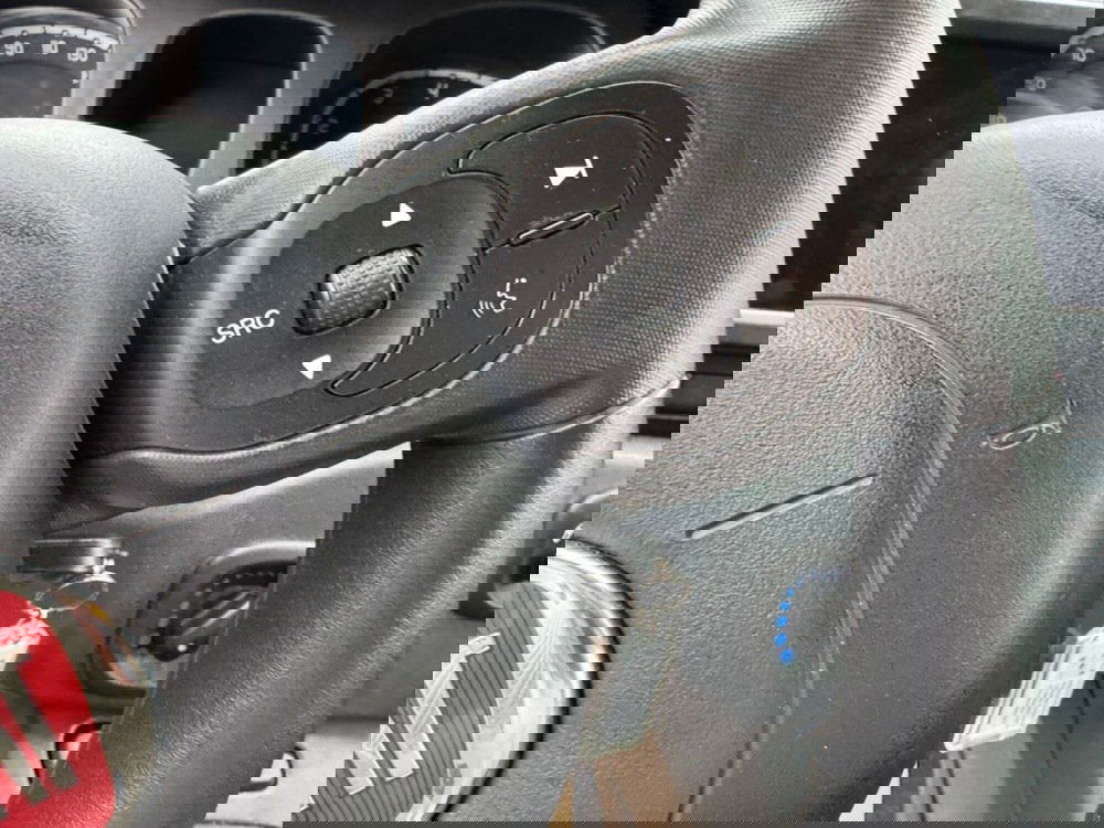 Fiat Panda Cross usata a Avellino (19)