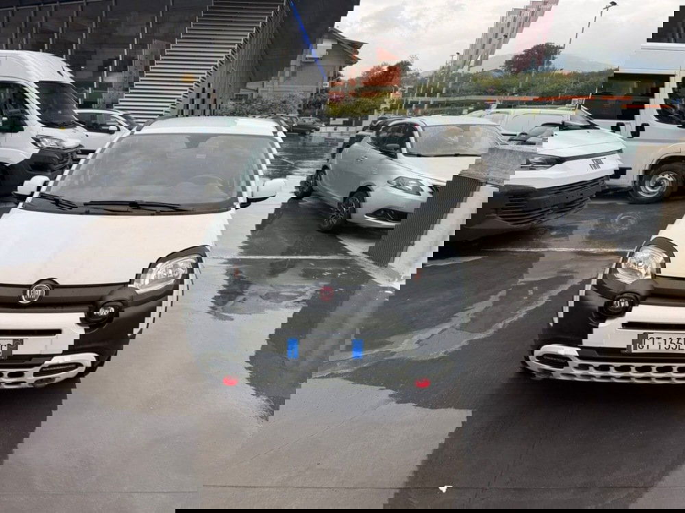 Fiat Panda Cross usata a Avellino (9)