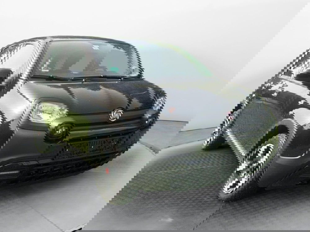 Fiat Panda usata a Salerno (2)