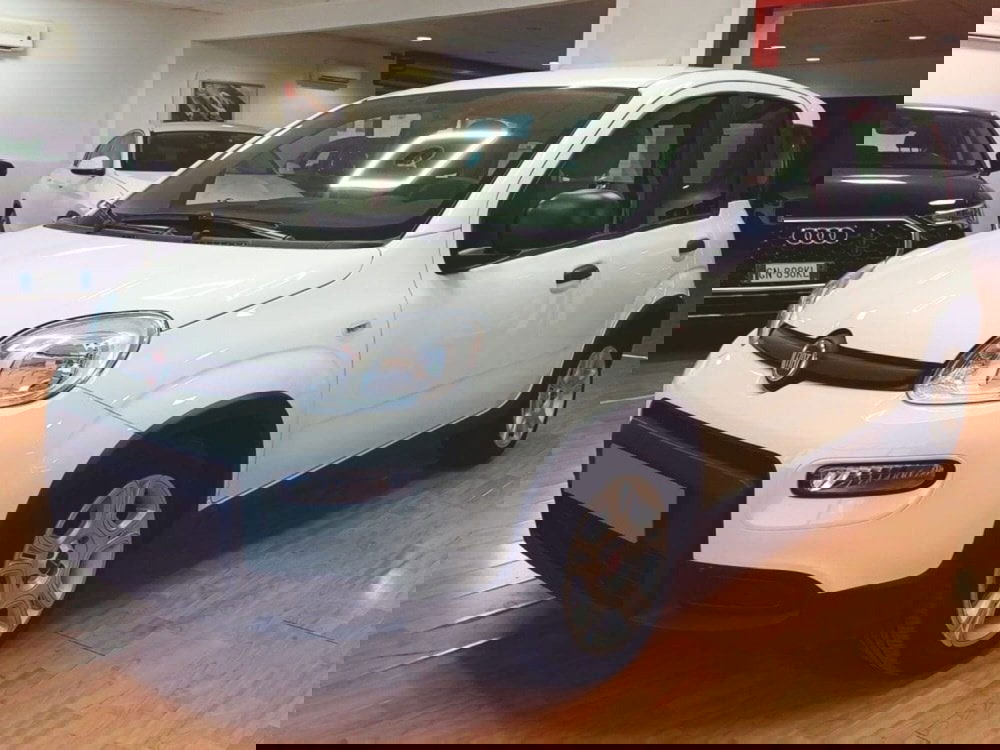 Fiat Panda Cross usata a Salerno