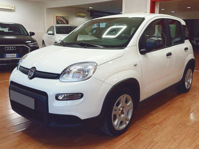 Fiat Panda Cross Cross 1.0 FireFly S&amp;S Hybrid del 2024 usata a Fisciano