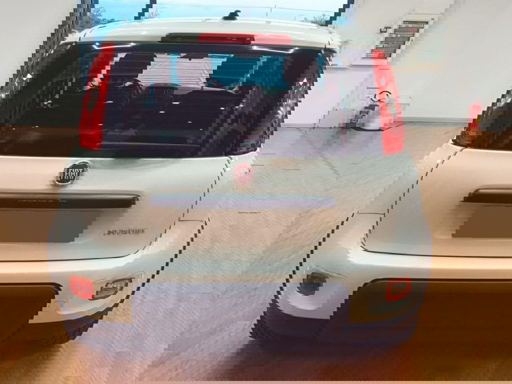 Fiat Panda Cross usata a Salerno (10)