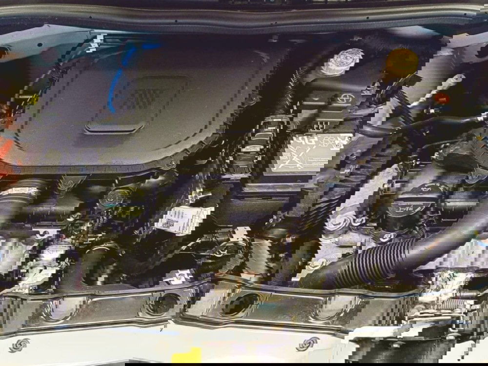 Fiat Panda Cross usata a Salerno (11)