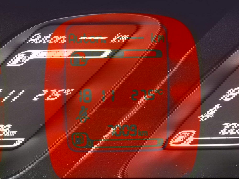 Fiat Panda Cross usata a Salerno (12)