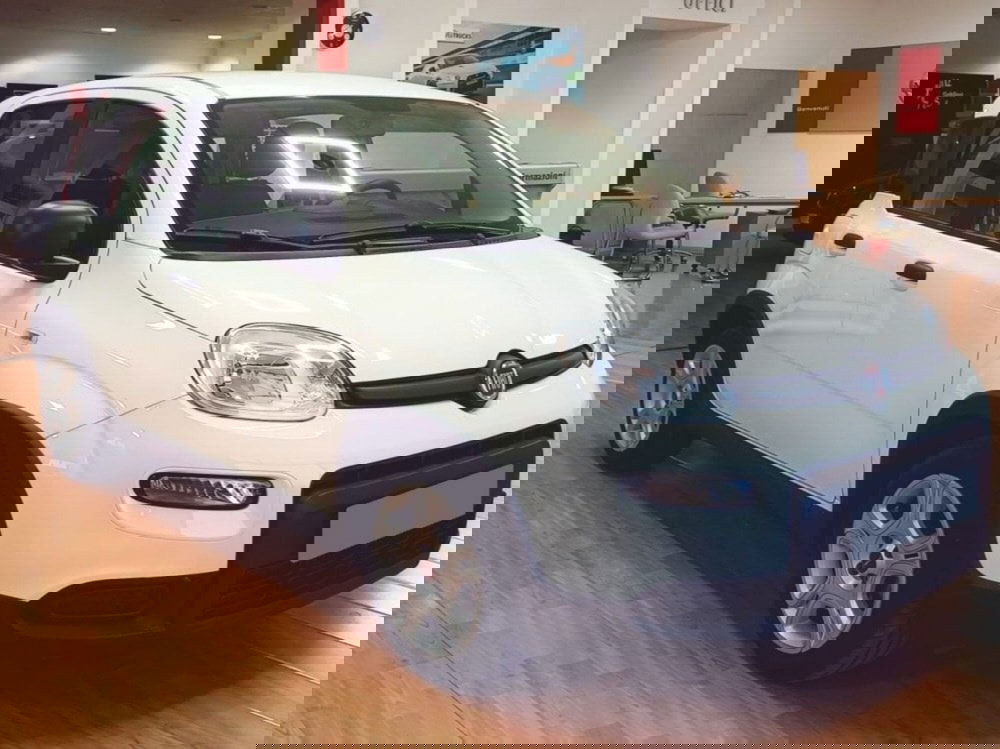 Fiat Panda Cross usata a Salerno (2)