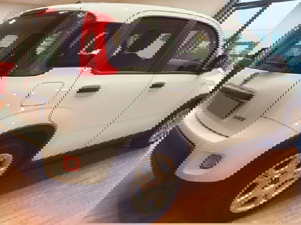 Fiat Panda Cross usata a Salerno (4)