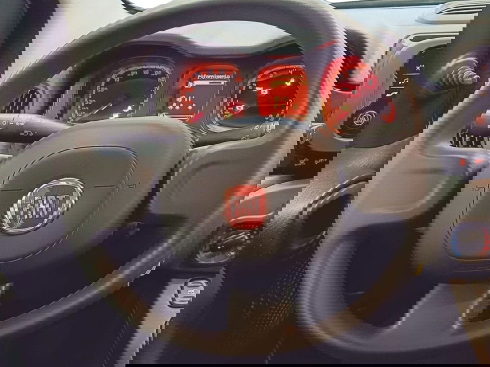 Fiat Panda Cross usata a Salerno (8)