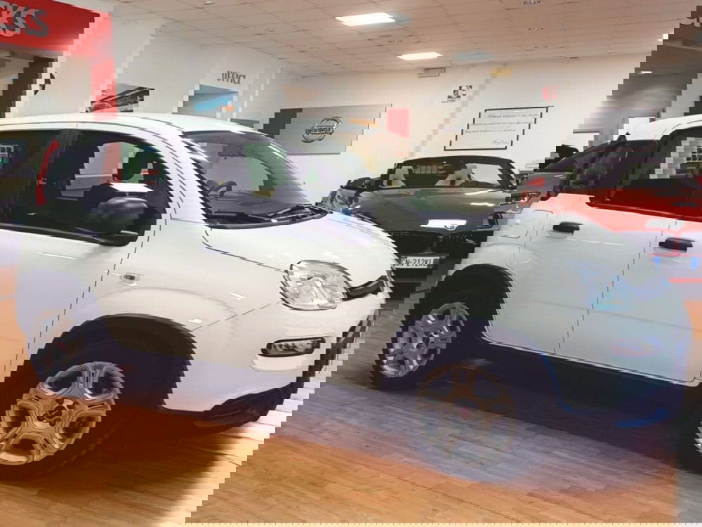 Fiat Panda Cross usata a Salerno (9)