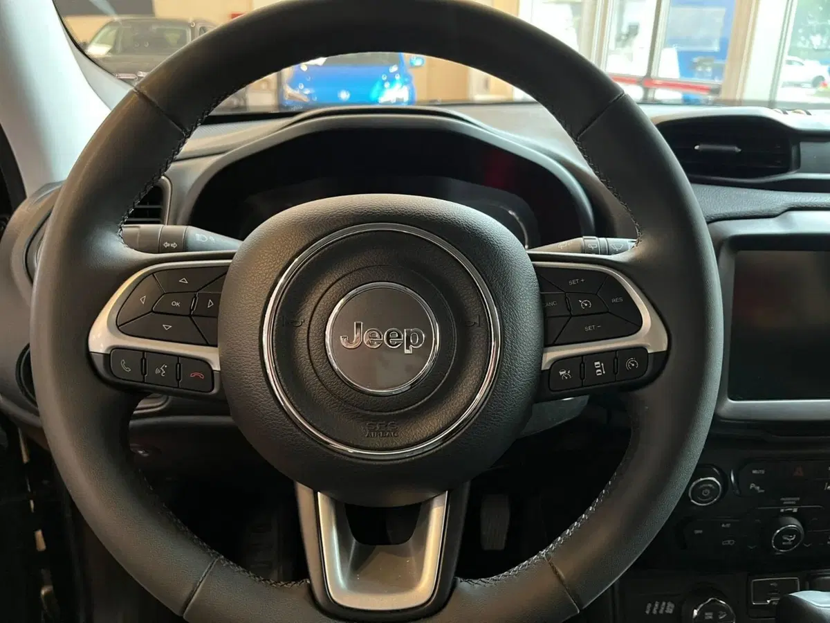 Jeep Renegade usata a Salerno (16)