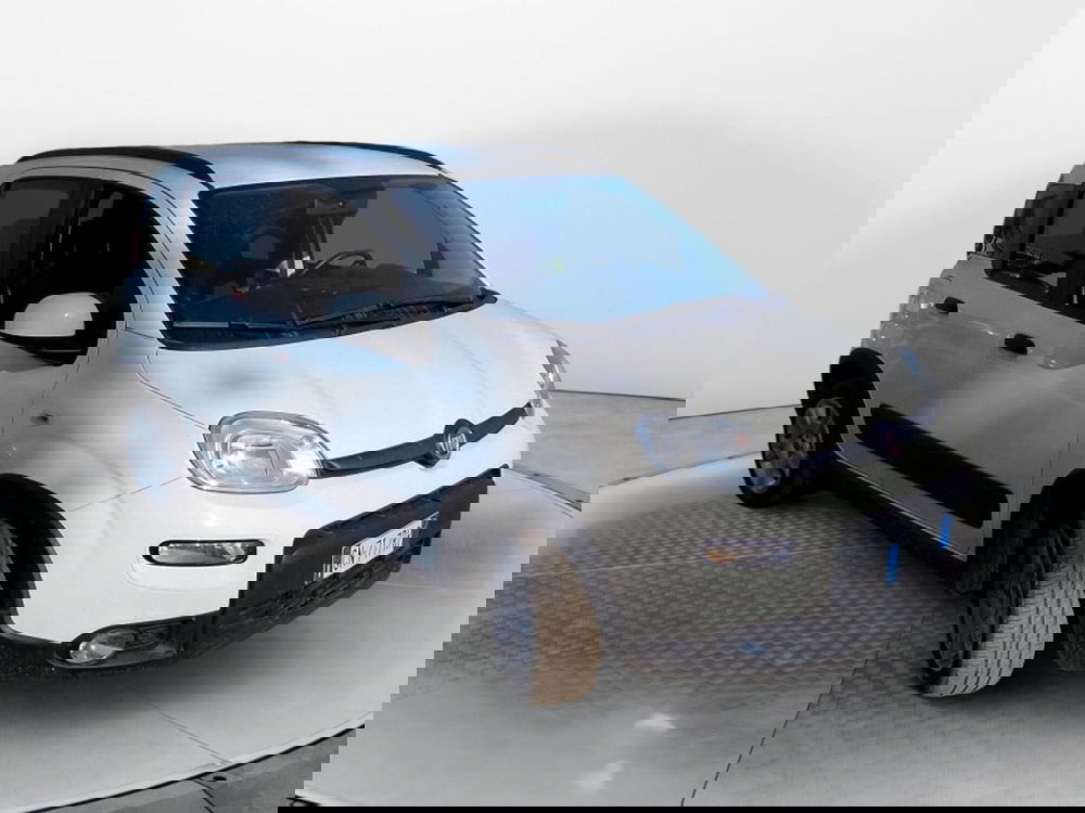 Fiat Panda Cross usata a Salerno (2)