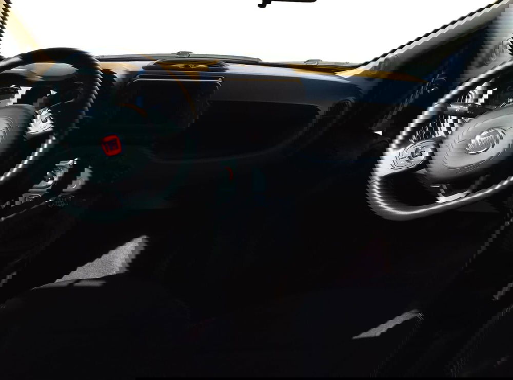 Fiat Panda Cross usata a Salerno (5)