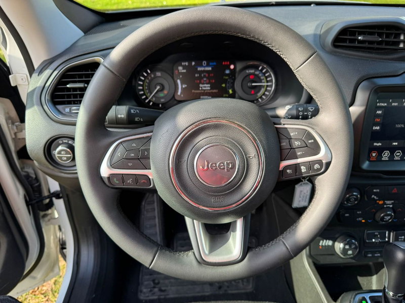 Jeep Renegade usata a Salerno (18)
