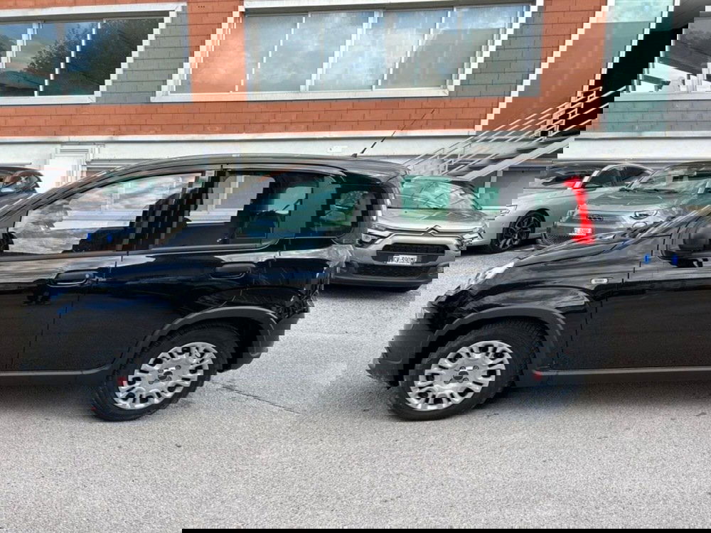 Fiat Panda Cross nuova a Salerno (10)