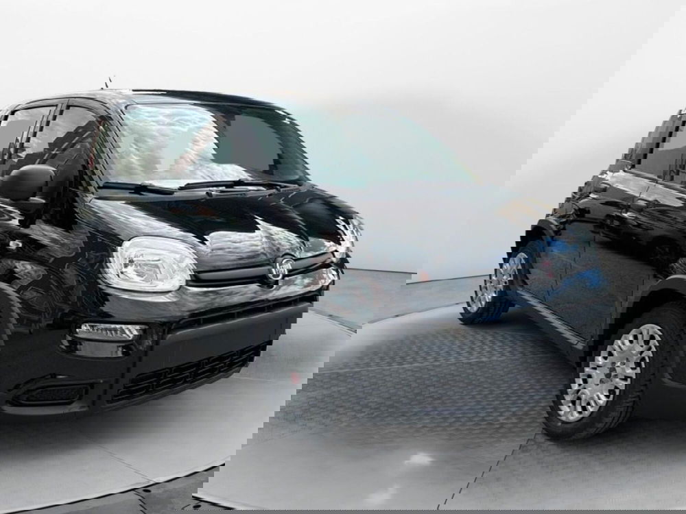 Fiat Panda Cross nuova a Salerno (2)