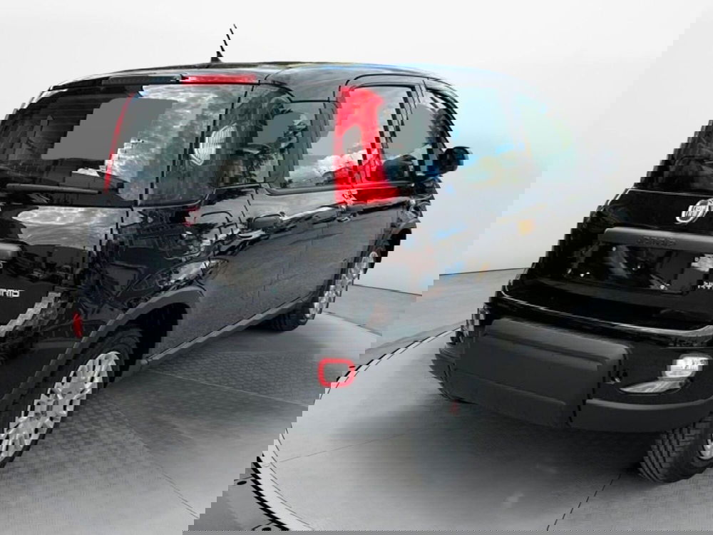 Fiat Panda Cross nuova a Salerno (3)