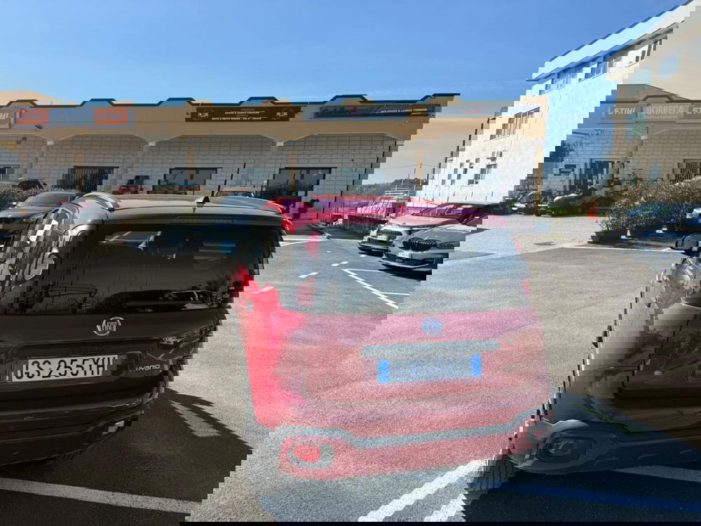 Fiat Panda Cross usata a Salerno (10)