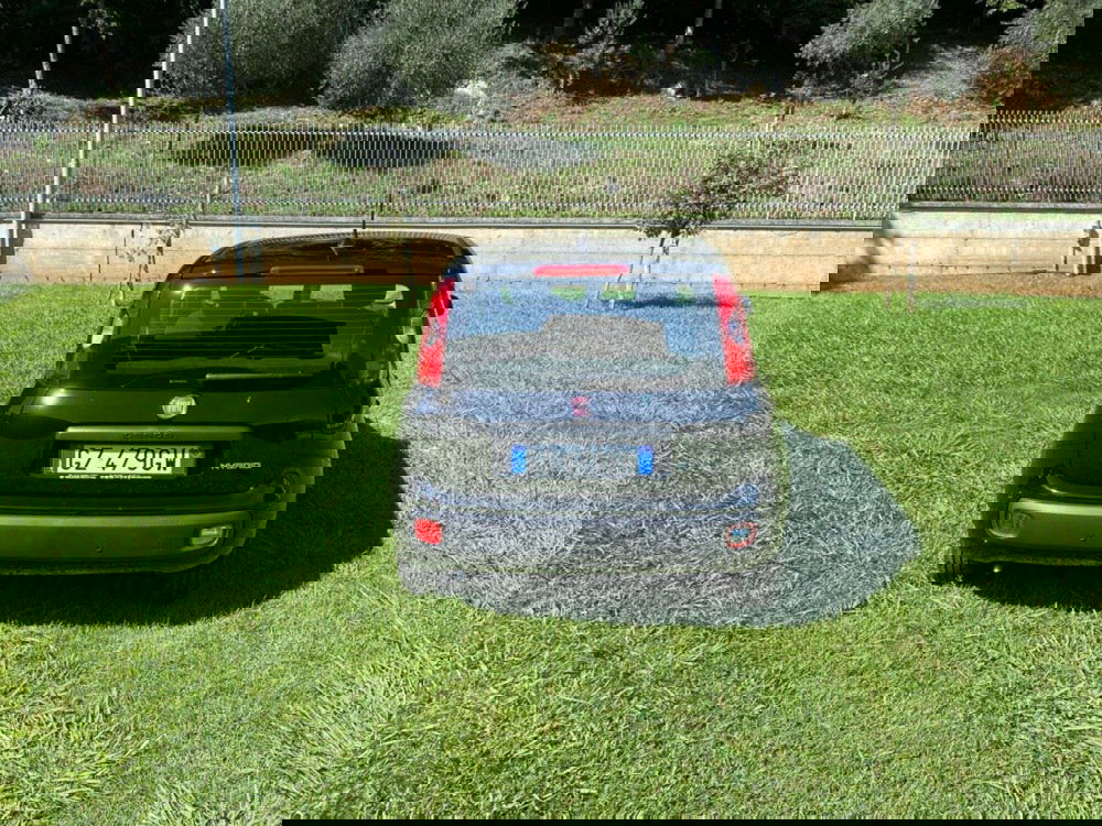 Fiat Panda nuova a Salerno (11)