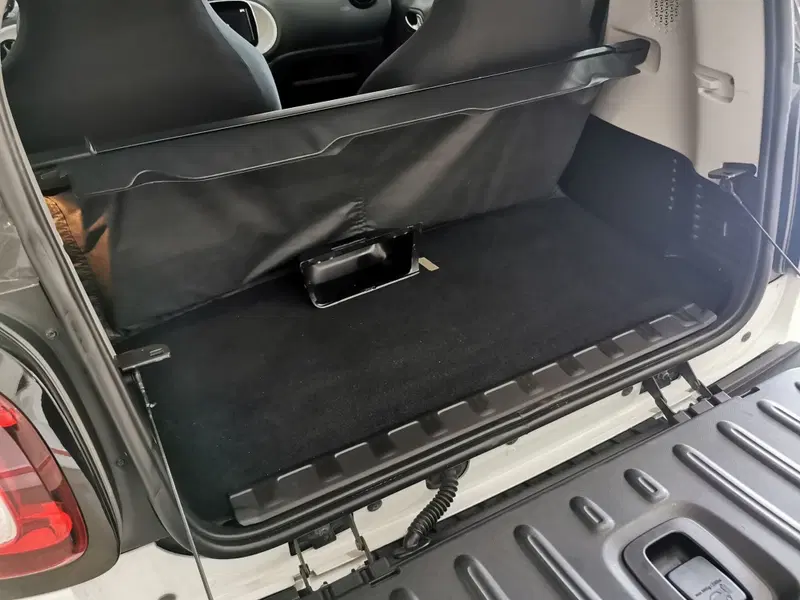 smart Fortwo usata a Salerno (14)