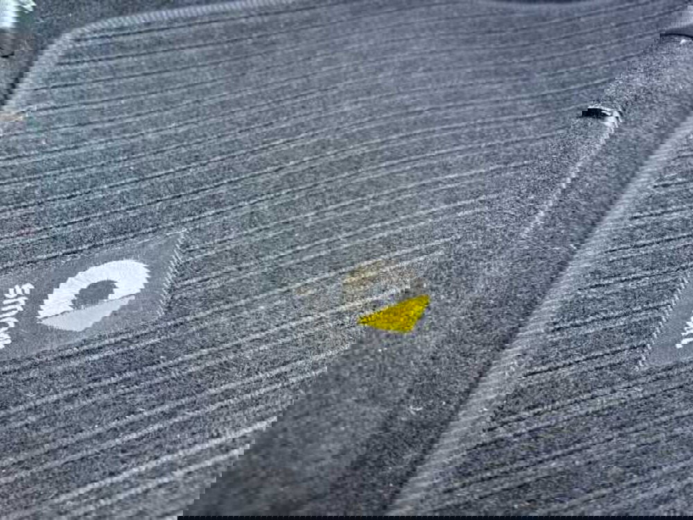 smart Fortwo usata a Firenze (19)