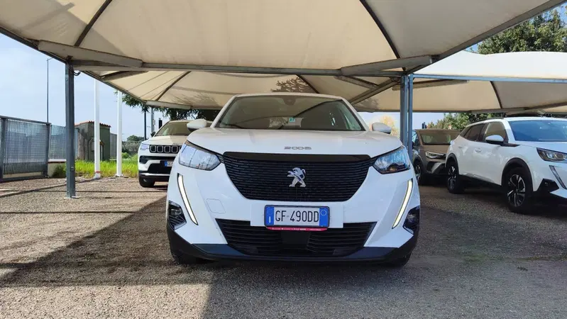 Peugeot 2008 usata a Firenze (14)