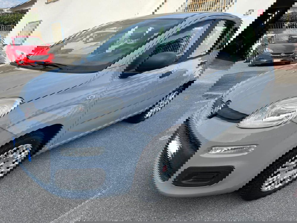 Fiat Panda usata a Lucca