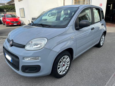 Fiat Panda 1.2 EasyPower Easy del 2018 usata a Altopascio