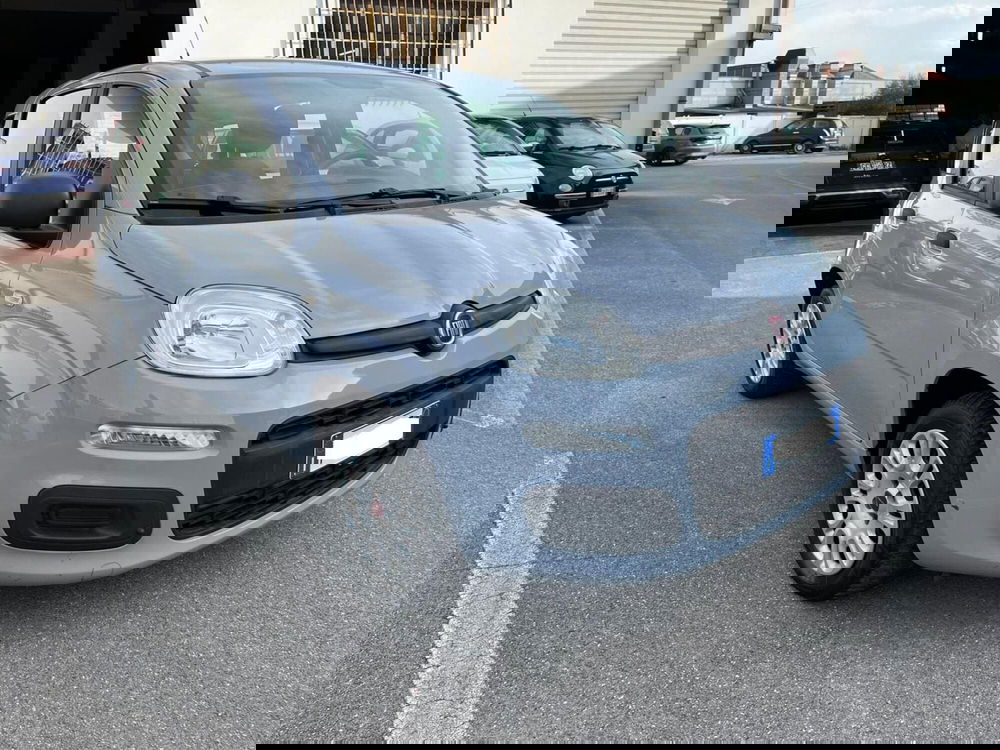 Fiat Panda usata a Lucca (3)