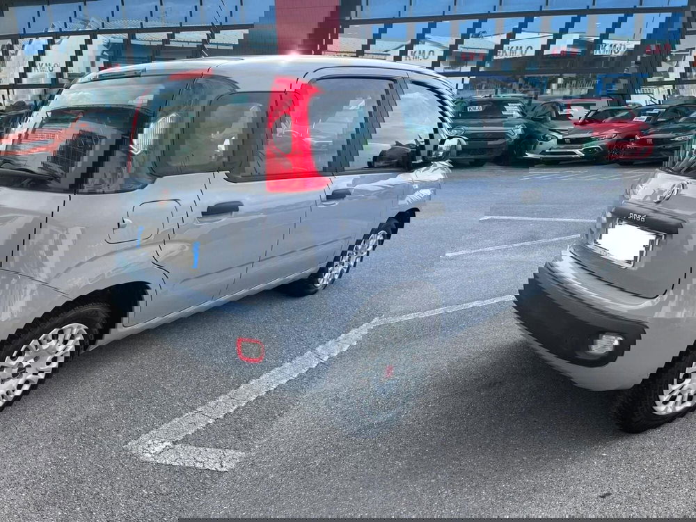 Fiat Panda usata a Lucca (5)