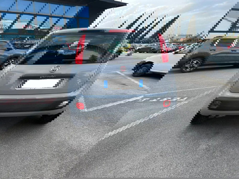 Fiat Panda usata a Lucca (6)