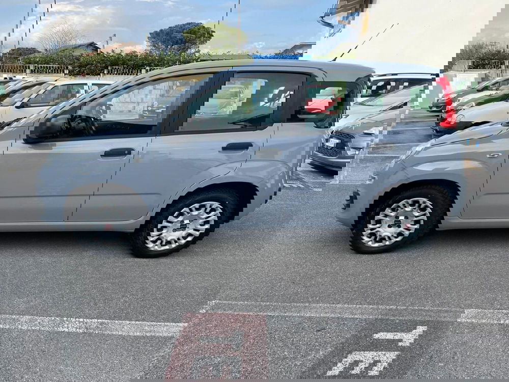 Fiat Panda usata a Lucca (8)