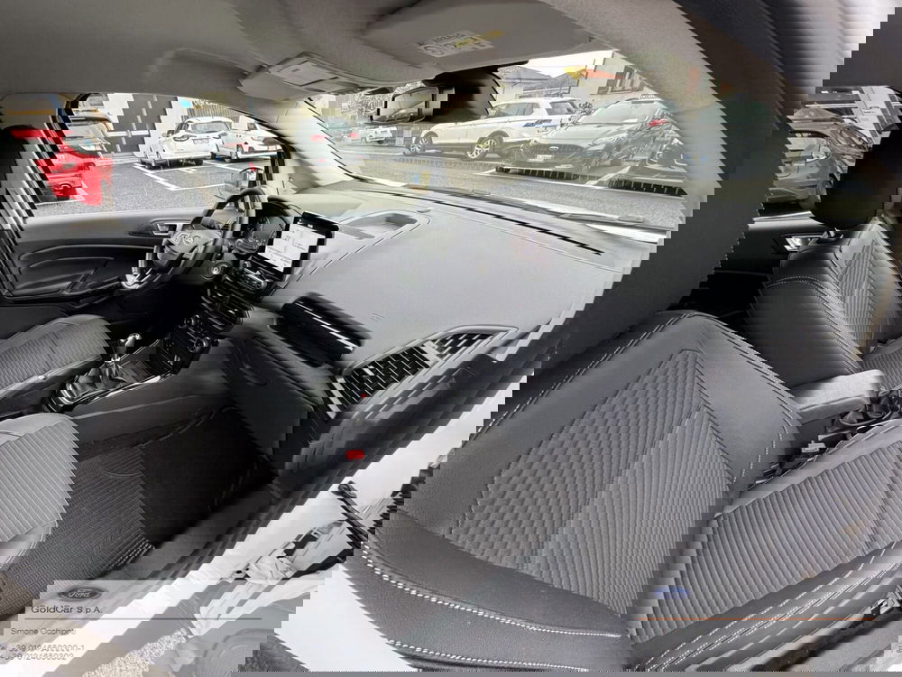Ford EcoSport usata a Torino (11)