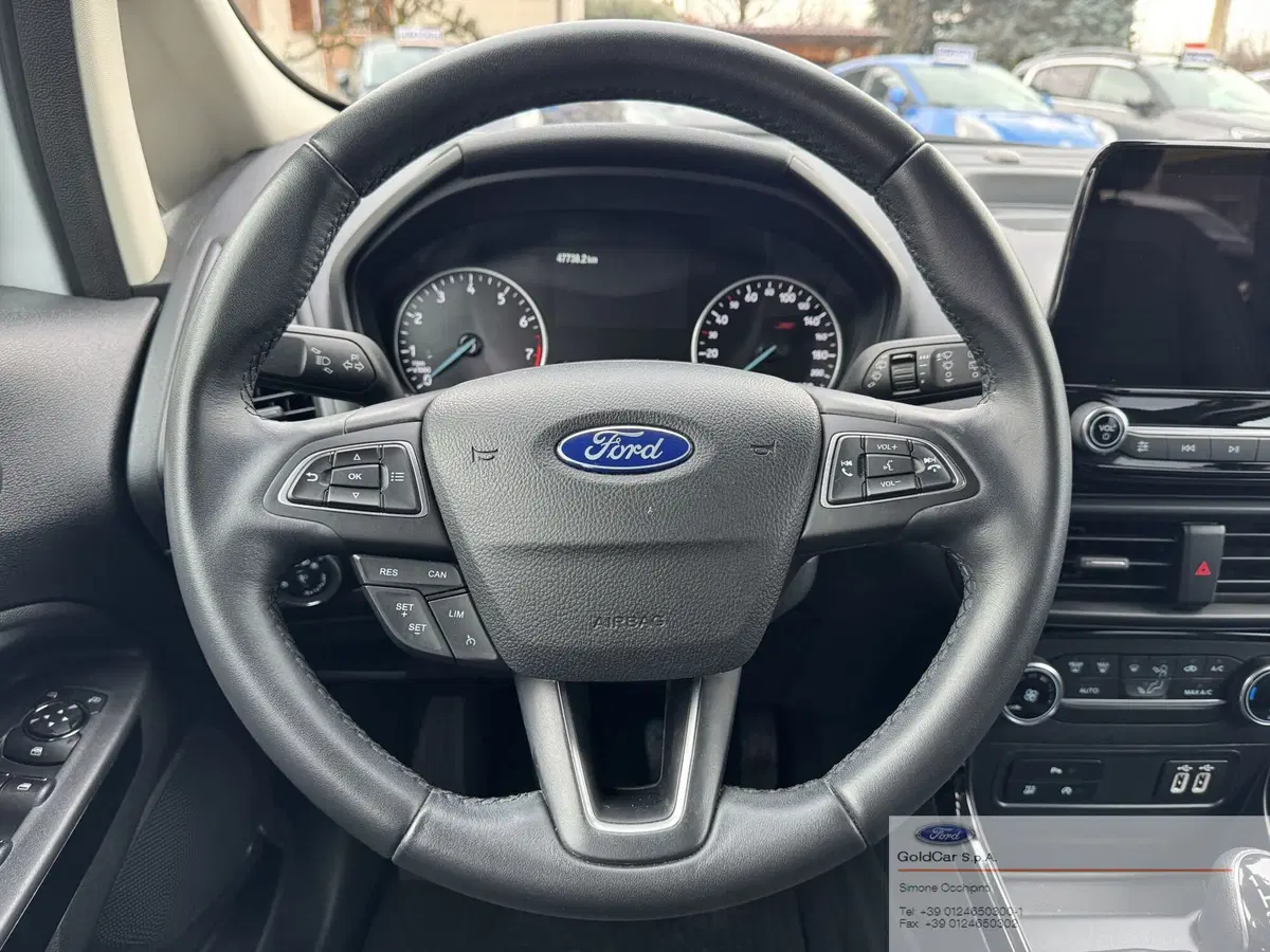 Ford EcoSport usata a Torino (13)