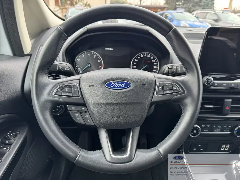 Ford EcoSport usata a Torino (13)