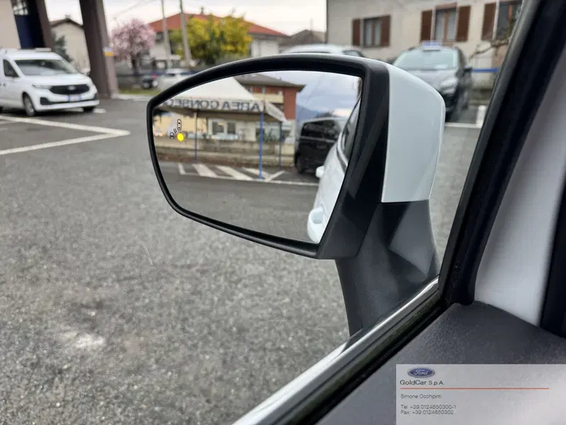 Ford EcoSport usata a Torino (19)