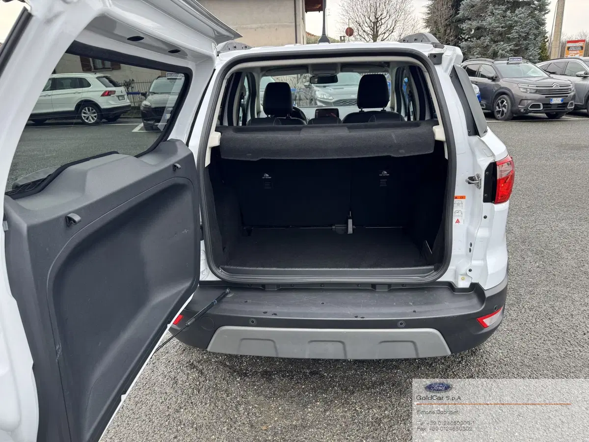 Ford EcoSport usata a Torino (8)