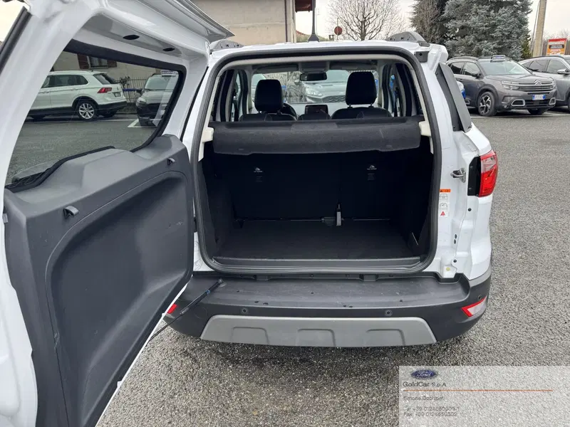 Ford EcoSport usata a Torino (8)