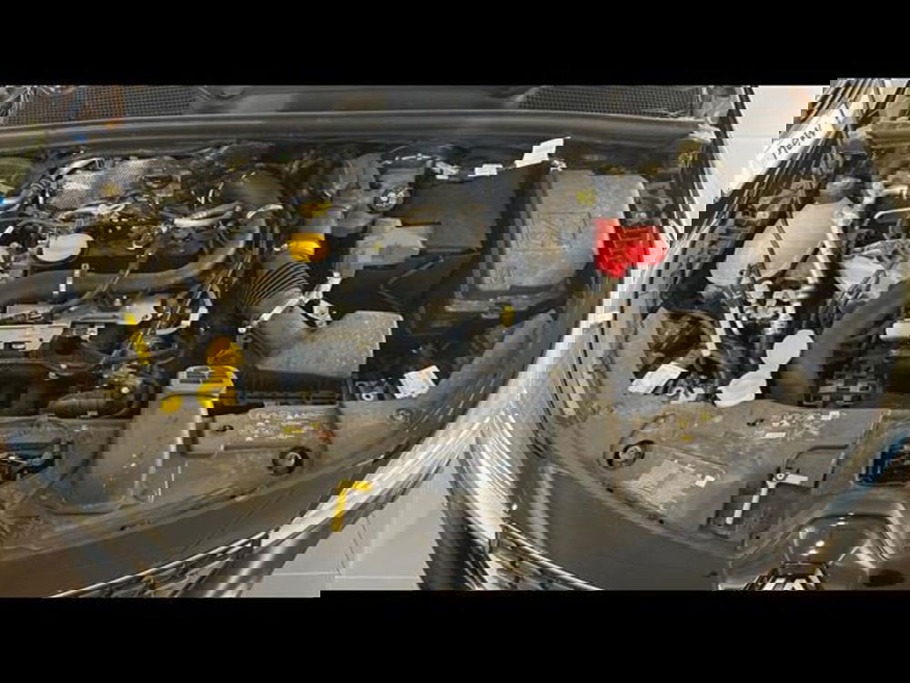 Renault Clio usata a Firenze (13)