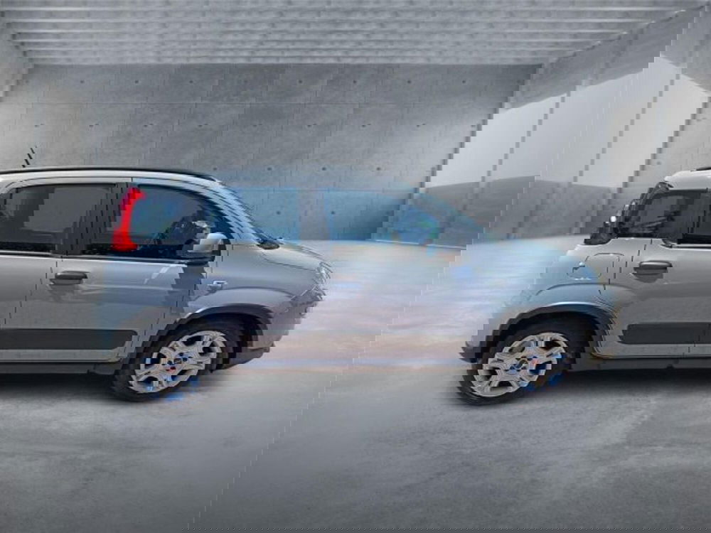 Fiat Panda usata a Bari (7)