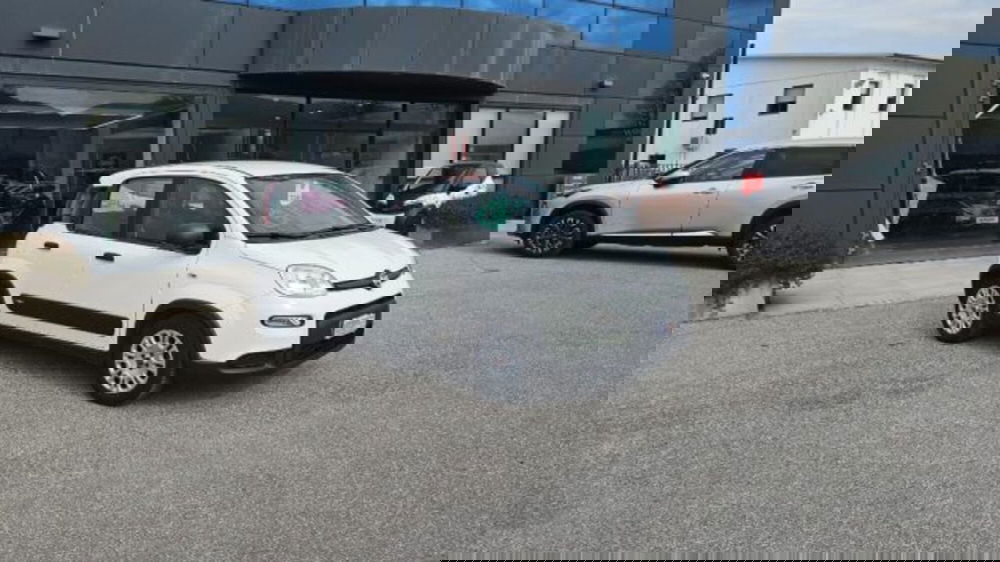 Fiat Panda usata a Lucca (2)