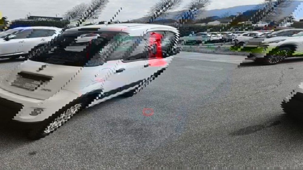 Fiat Panda usata a Lucca (4)