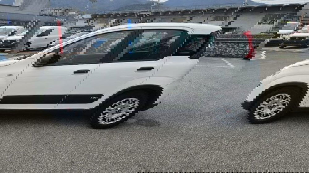 Fiat Panda usata a Lucca (7)