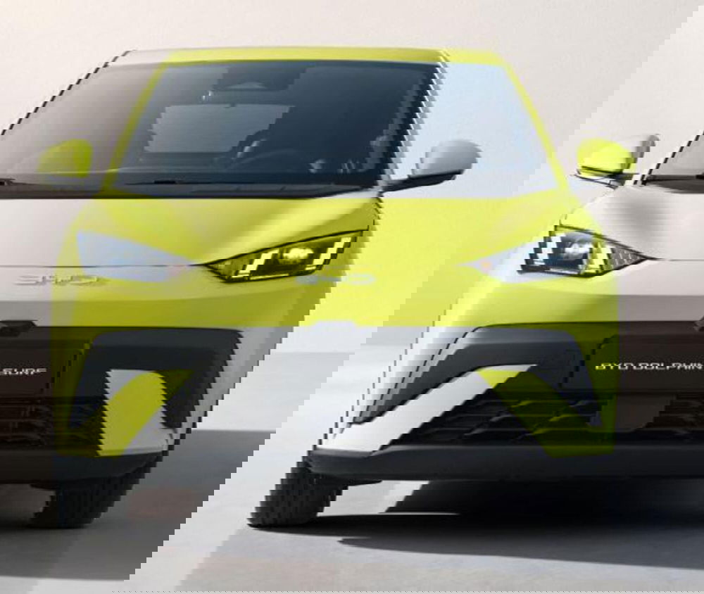 Byd Dolphin Surf nuova a Bologna (2)