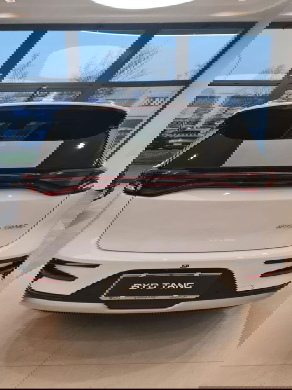 Byd Tang nuova a Bologna (2)