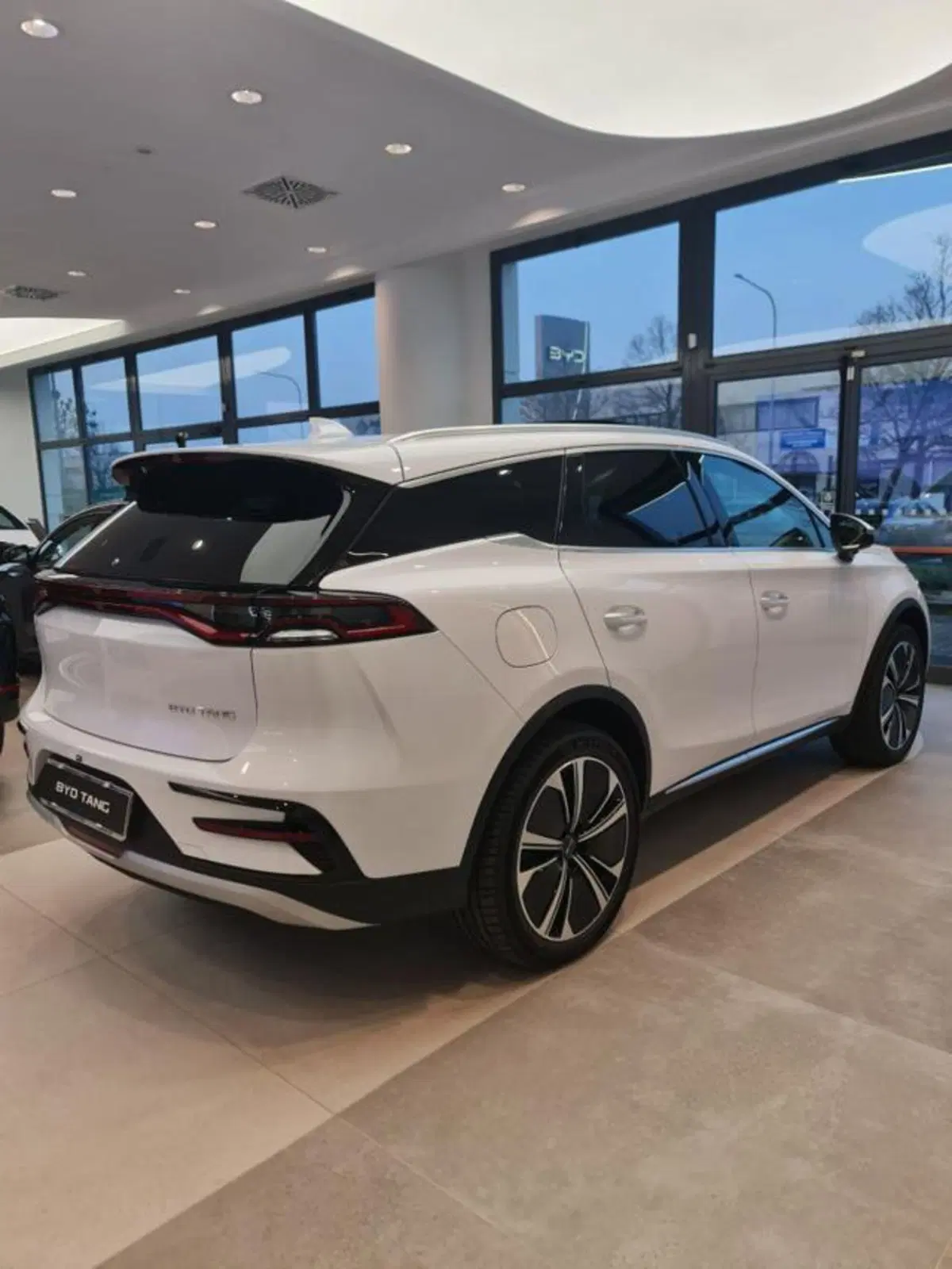 Byd Tang nuova a Bologna (3)