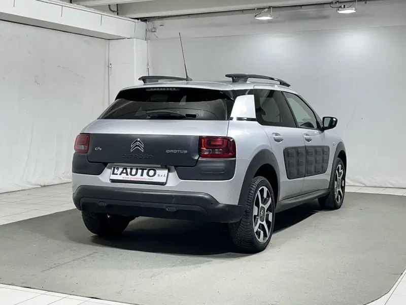 Citroen C4 Cactus usata a Sondrio (5)