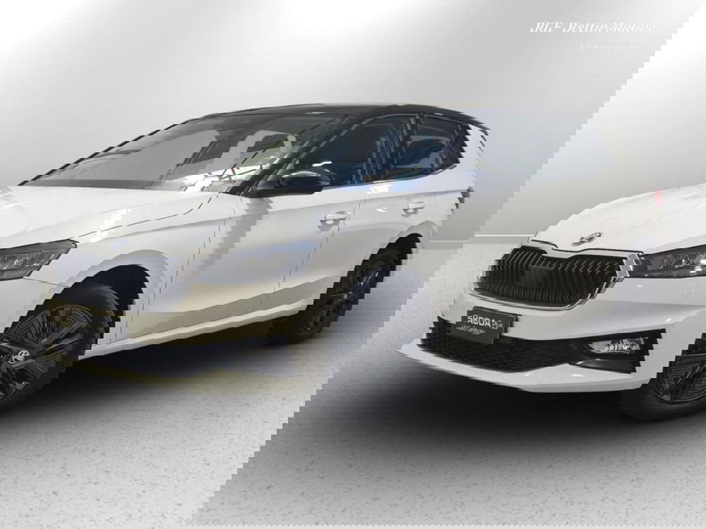 Skoda Fabia usata a Padova