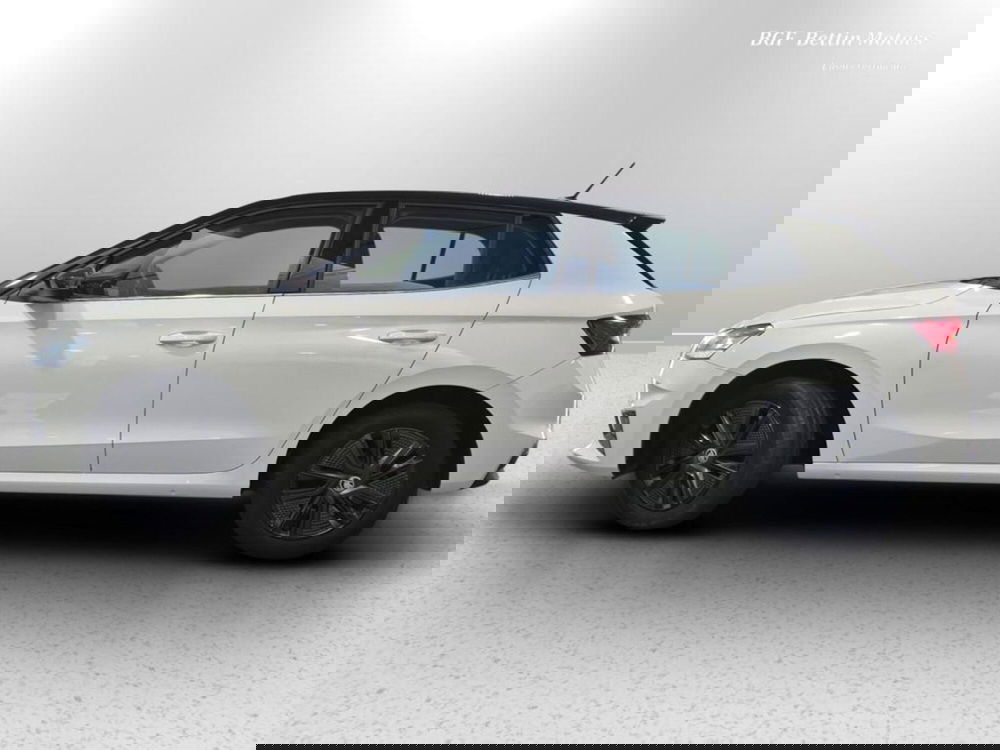 Skoda Fabia usata a Padova (2)